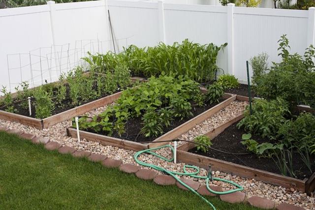 Organic Gardening In The 21st Century