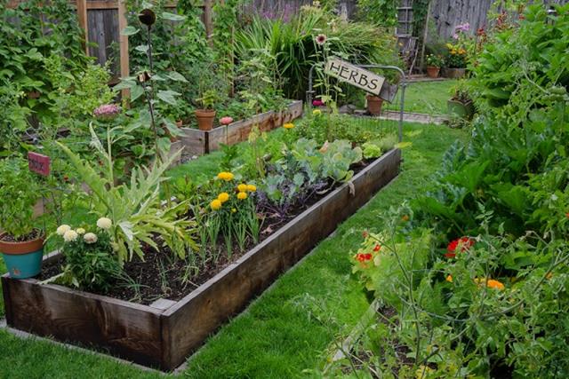 Raised Bed Gardening: What Are The Benefits?