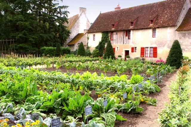 The basic scoop on plannig a vegetable garden