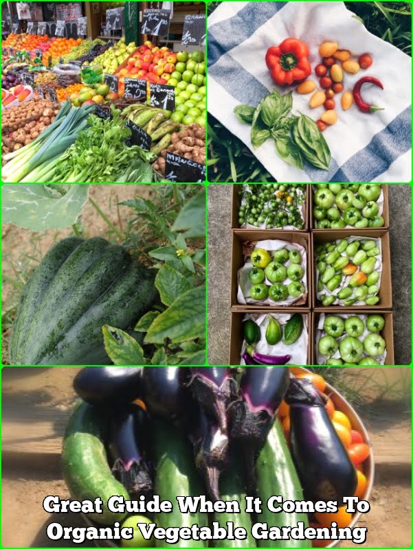 Great Guide When It Comes To Organic Vegetable Gardening