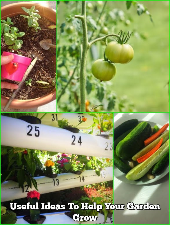 Useful Ideas To Help Your Garden Grow