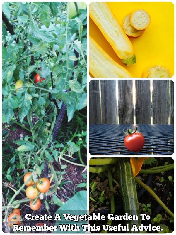 Create A Vegetable Garden To Remember With This Useful Advice.