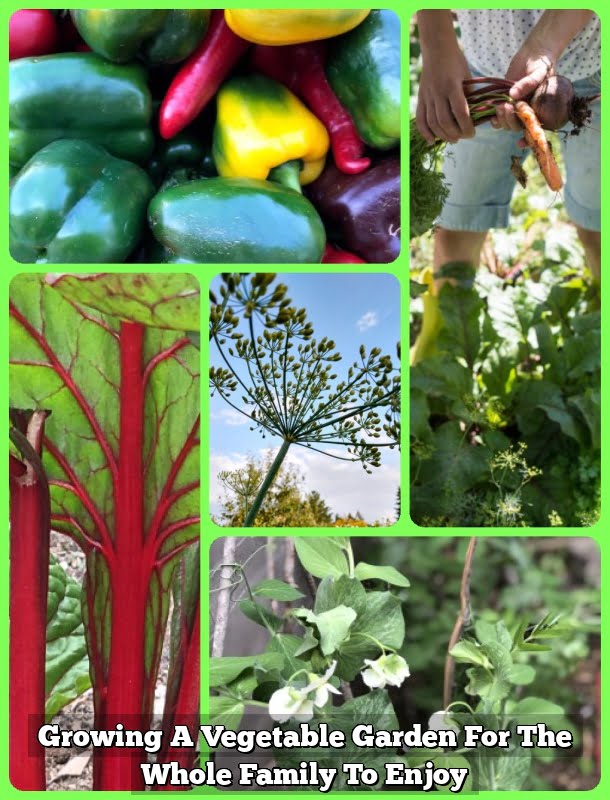 Growing A Vegetable Garden For The Whole Family To Enjoy