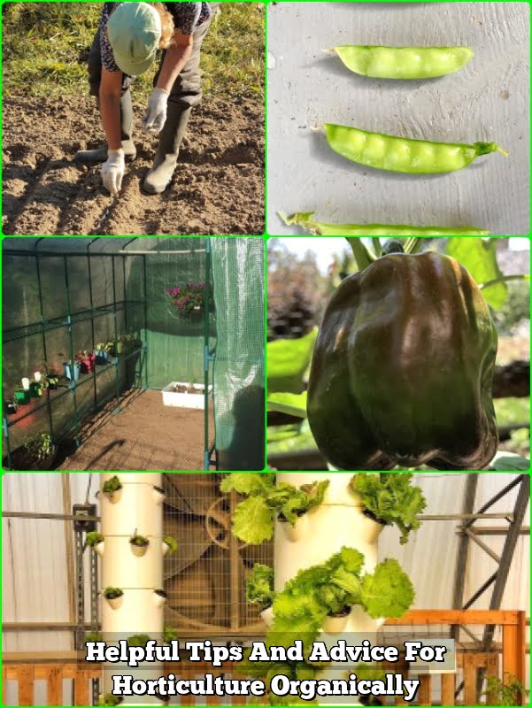 Helpful Tips And Advice For Horticulture Organically