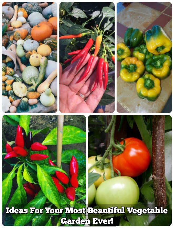 Ideas For Your Most Beautiful Vegetable Garden Ever!