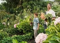 Grow A Safer Garden By Using These Organic Gardening Tips