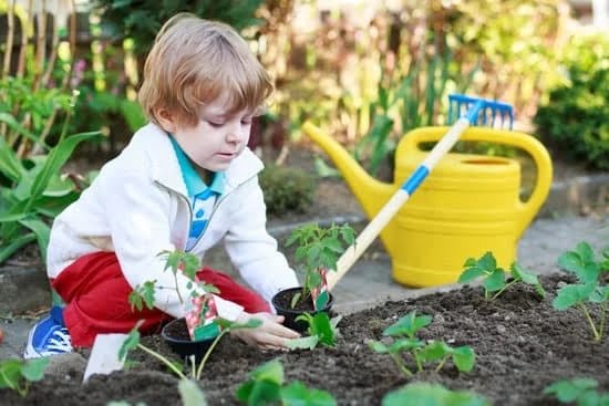 Organic Gardening Tips You Can Try Out Today