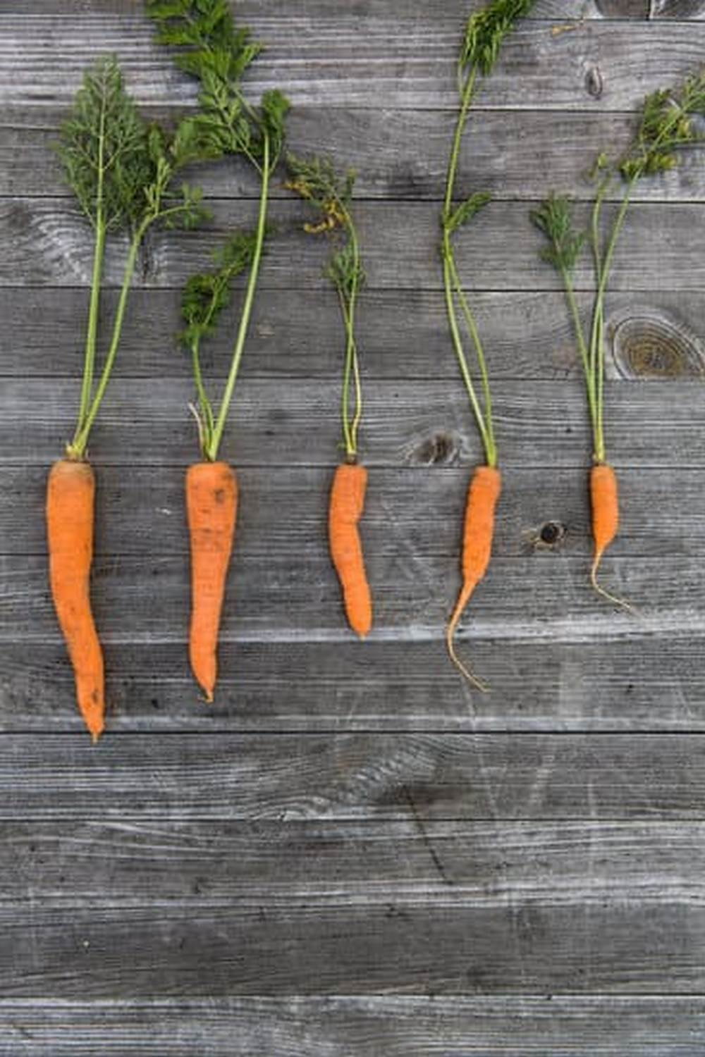 How To Choose What To Plant In Your Vegetable Garden