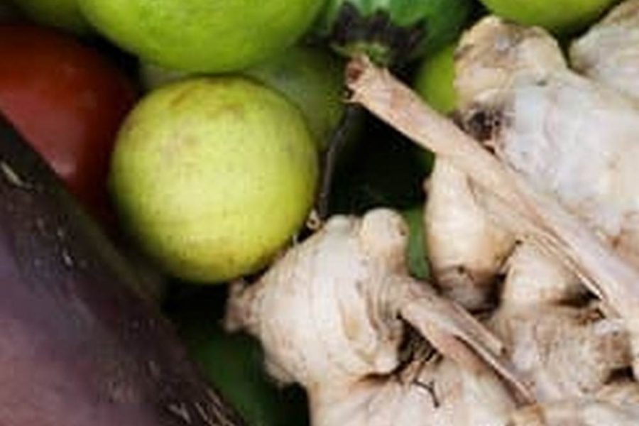 Best Compost For Organic Vegetable Garden
