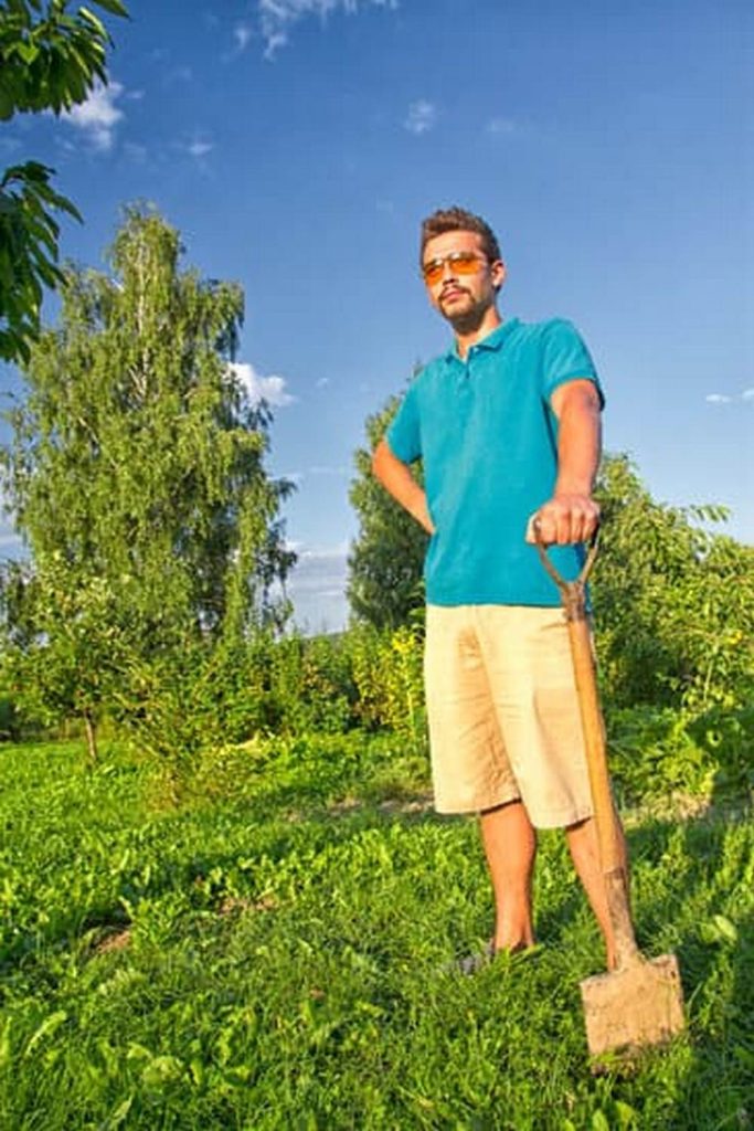 Best Irrigation System For Vegetable Garden — Vegetable Gardening News