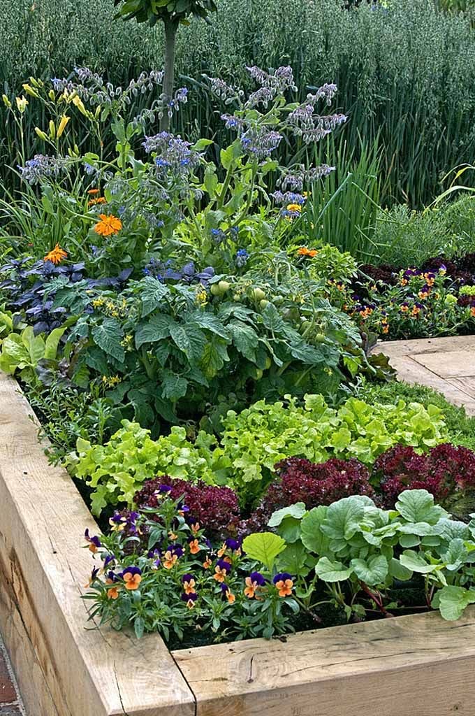 Best Organic Garden Fertilizer For Vegetables