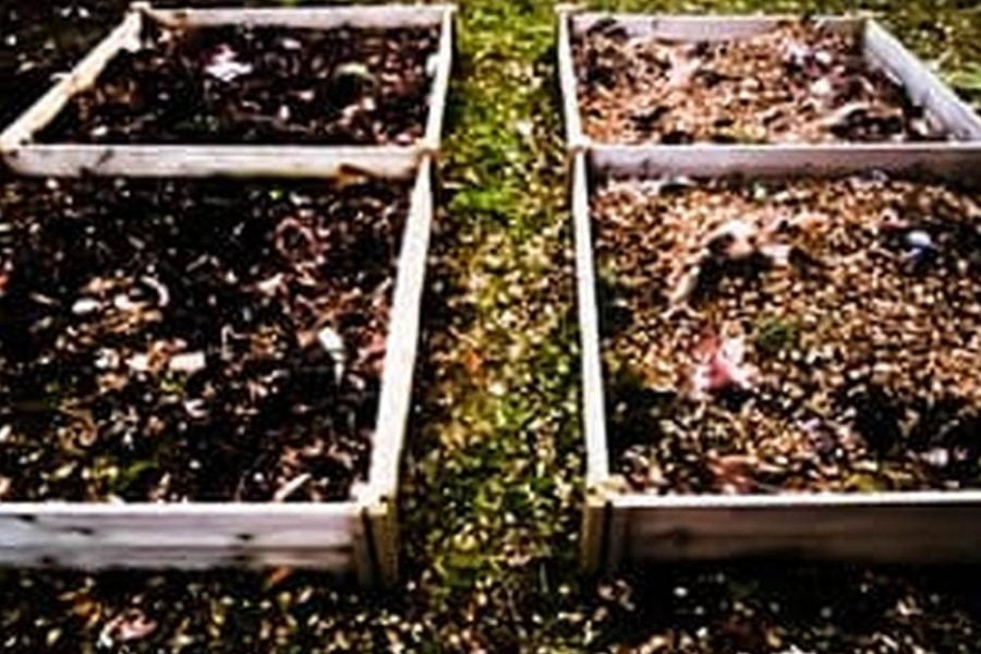 Best Store Bought Soil For Vegetable Garden