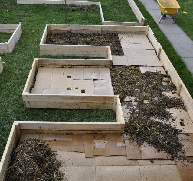 How To Construct Raised Beds For Vegetable Garden