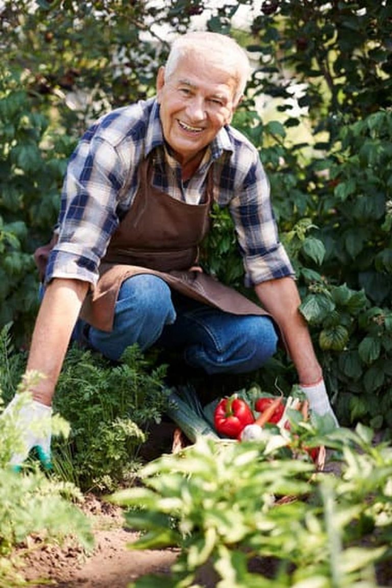 How To Create Soil For Vegetable Garden