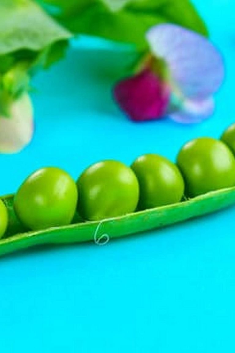 How To Grow Vegetables In Raised Garden Beds 7 How To Grow Vegetables In Raised Garden Beds