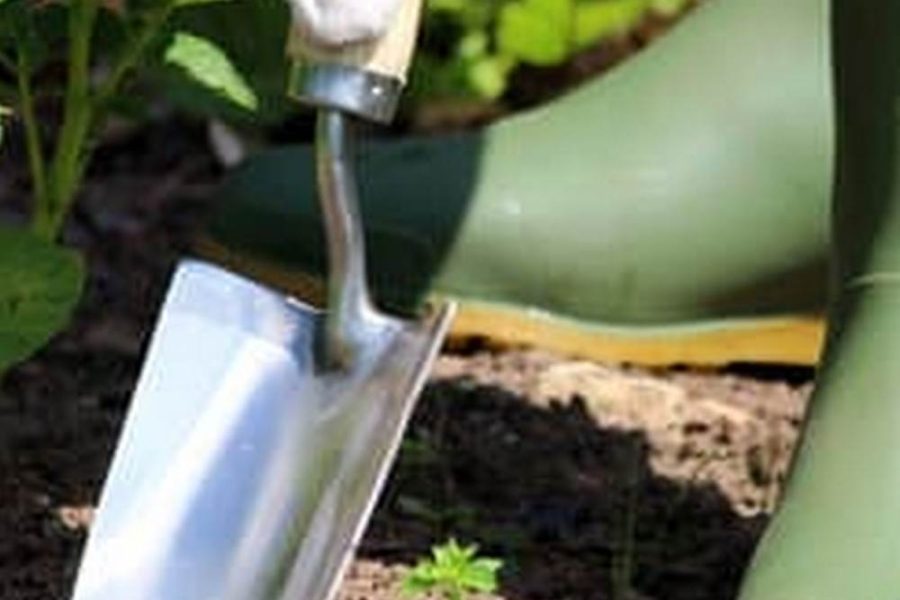 How To Improve Garden Soil For Vegetables