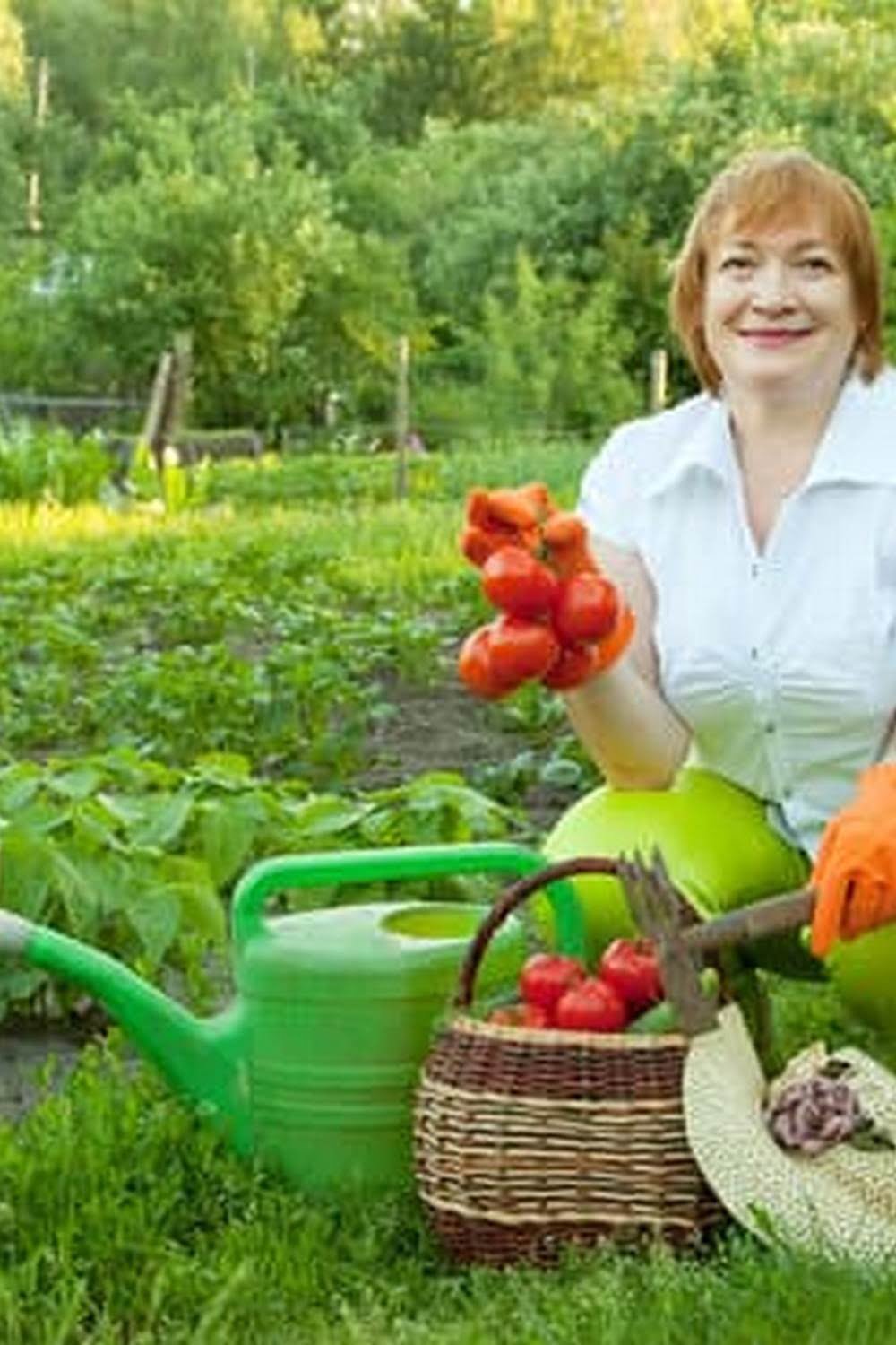How To Test Your Vegetable Garden Soil