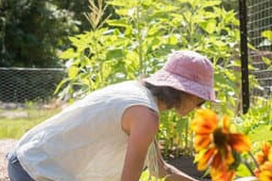 Http Homeguides.Sfgate.Com Prepare-Soil-Vegetable-Garden-Rototiller-70992.Html
