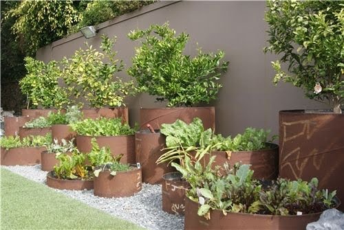 Images Of Raised Vegetable Garden Beds
