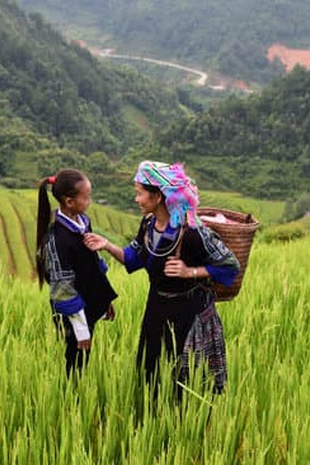 Is Mushrooms Growing In Vegetable Garden Soil Good