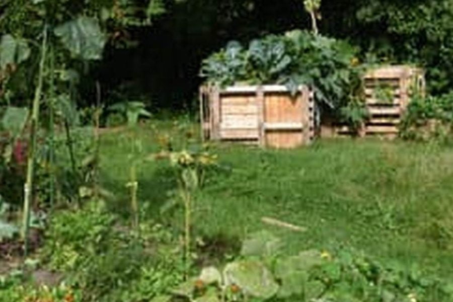 Raised Garden Vegetable Bed
