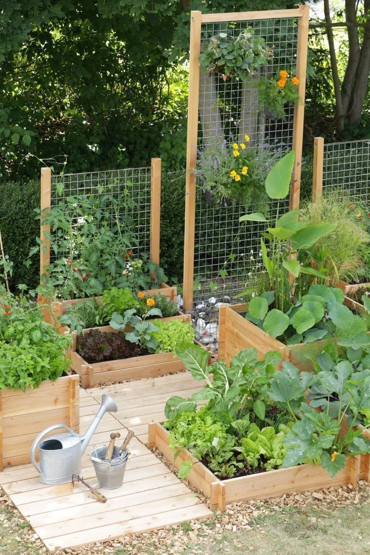 Raised Vegetable Garden Care