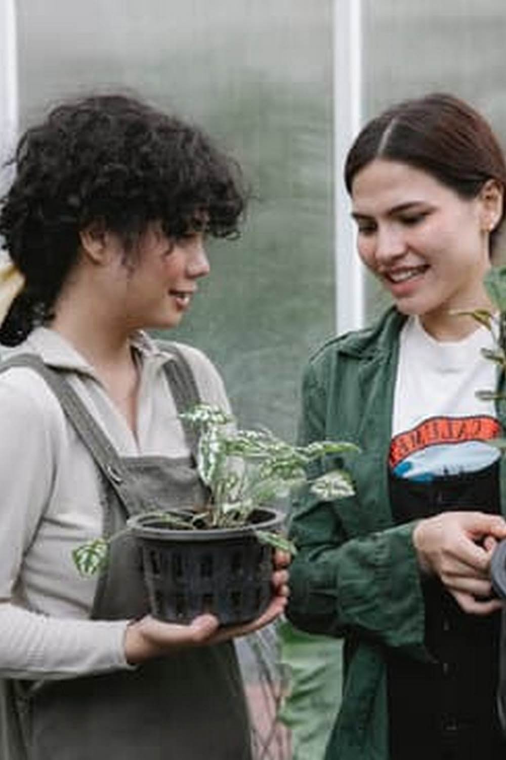 Square Foot Gardening 4X8 Raised Bed Vegetable Garden Layout