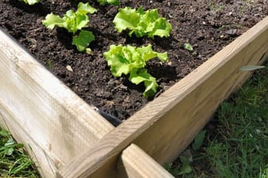 What Is The Best Way To Layout A Vegetable Garden