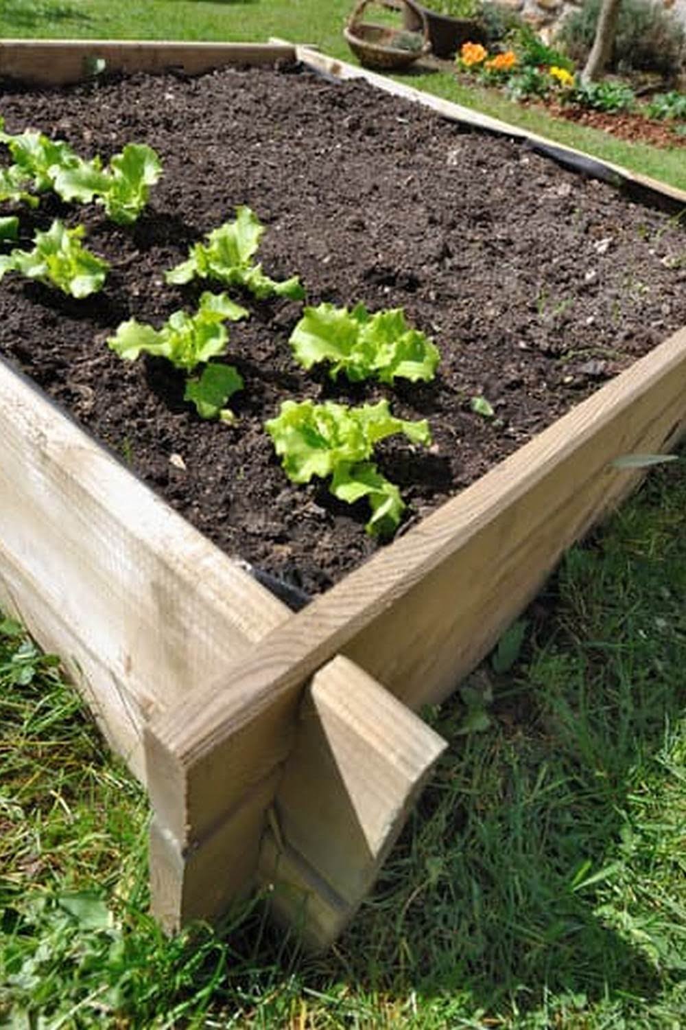 What Is The Best Way To Layout A Vegetable Garden