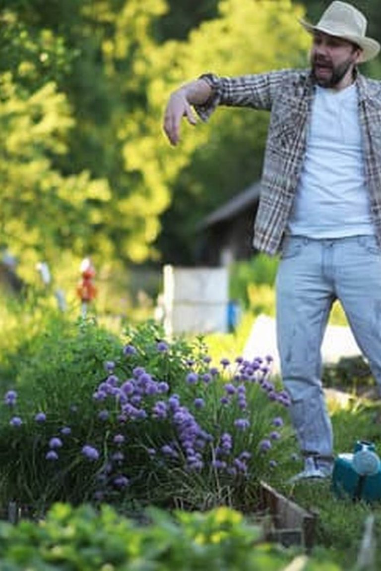 Can I Use Sawdust In My Vegetable Garden