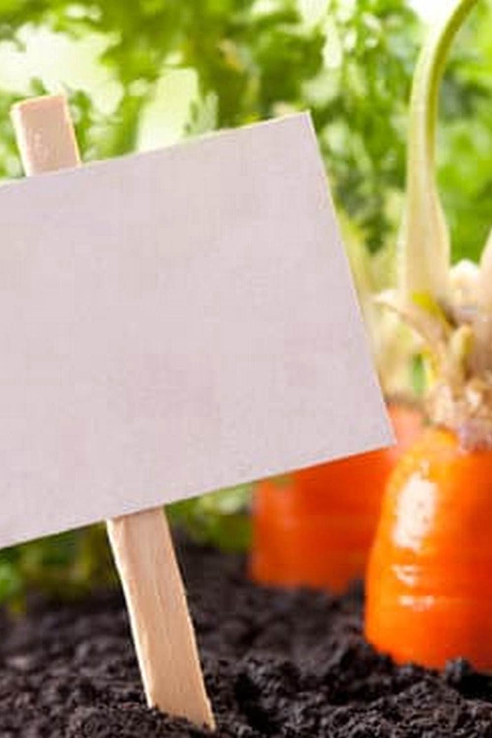 Dhow To Make Wood Planters For Outdoor Vegetable Garden