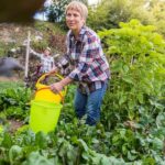 Delicious recipe for BETTER HOMES AND GARDENS COOKBOOK Vegetable Beef Soup
