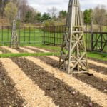Vegetable Gardening Best Tools Essential tools for vegetable gardening: Discover the best tools for maintaining a thriving vegetable garden
