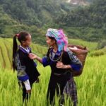 Comply with regulations for private fruit and vegetable gardens in backyard settings