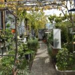 Vegetable Gardening Ideas on a Budget Affordable vegetable garden ideas for budget-conscious gardeners seeking creative ways to maximize their space