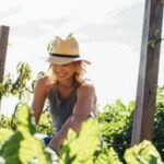 Step-by-step guide for organic vegetable gardening: from seed selection to harvest