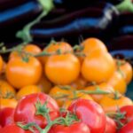 The rich history of vegetable and fruit gardens: evolving practices, traditional cultivation techniques, and diverse produce