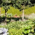 Begin your gardening journey with this comprehensive guide on vegetable and herb gardening for beginners