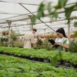 Bountiful vegetable gardens thrive in Durham, North Carolina, offering a diverse range of locally grown produce