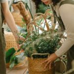 Top Selection of Annual Vegetables for Optimal Vegetable Gardens - Best Annals for Vegetable Gardens