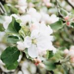 Easiest vegetables to grow in containers: Tips and ideas for successful container gardening