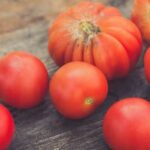 Discover the numerous benefits of vegetable gardening for a healthy and sustainable lifestyle