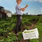 Types of Vegetable Gardening Various methods for vegetable gardening including container gardening, raised beds, and vertical gardening