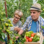 Best Soil Preparation for Vegetable Gardens Optimal soil preparation techniques for flourishing vegetable gardens: A comprehensive guide