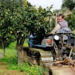 A collection of the best books on organic vegetable gardening for beginners and experts alike