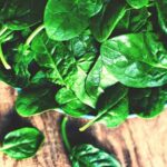 The history of Italian vegetable gardens – exploring the origins and heritage of these traditional agricultural spaces