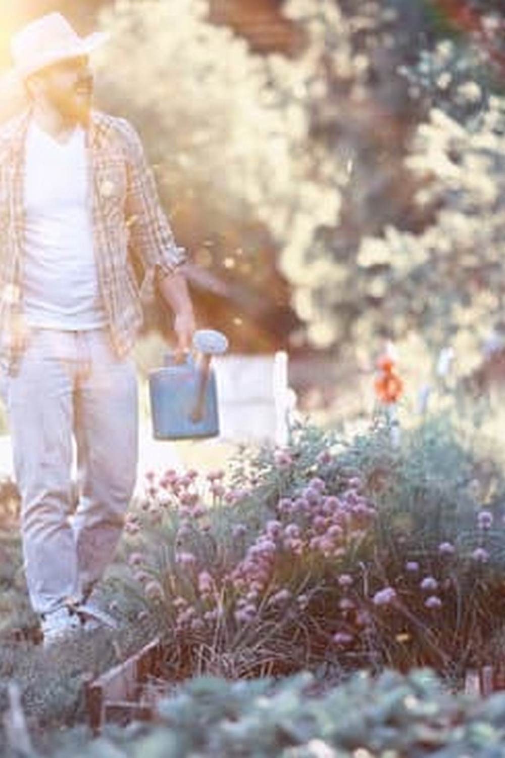 Comprehensive vegetable gardening guide by UF IFAS: essential tips, techniques, and resources for beginners and experts