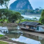 Abundant and thriving vegetable garden in Zone 6B, boasting a variety of nutritious and flavorful crops
