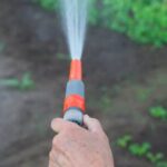 Colorful assortment of winter vegetables ready for harvesting in a garden