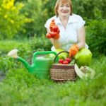 Image: Illustration of a comprehensive GUIDE TO SUCCESSFUL VEGETABLE GARDENING with step-by-step instructions